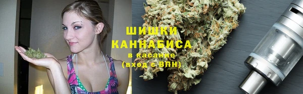 PSILOCYBIN Алзамай