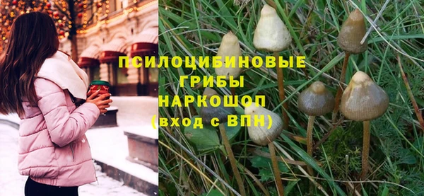 кокс Алексеевка