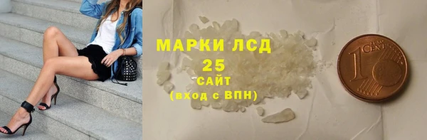 PSILOCYBIN Алзамай