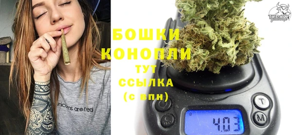 PSILOCYBIN Алзамай